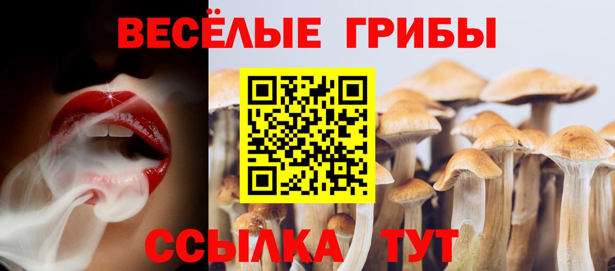 Галлюциногенные грибы мухоморы Воронеж